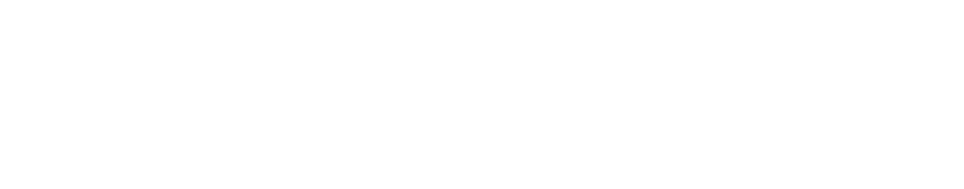 UNIZEM UNIZEM
